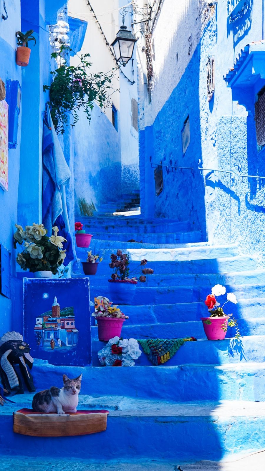 Macetas con flores en escalones azules de Chefchaouen