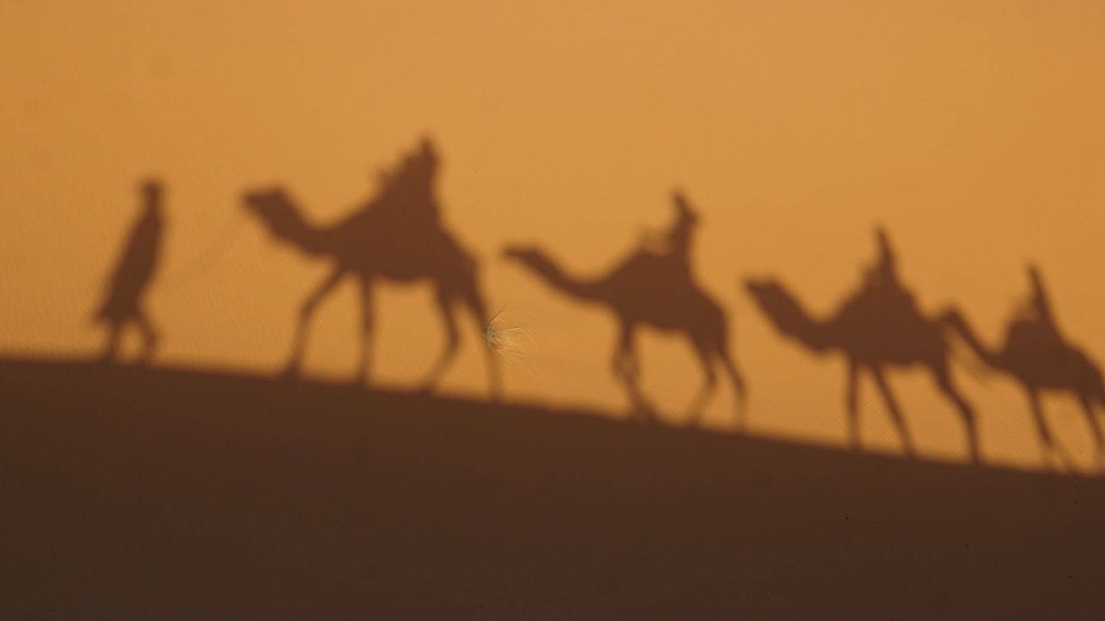 Sombras de camellos sobre las dunas de Erg Chebbi