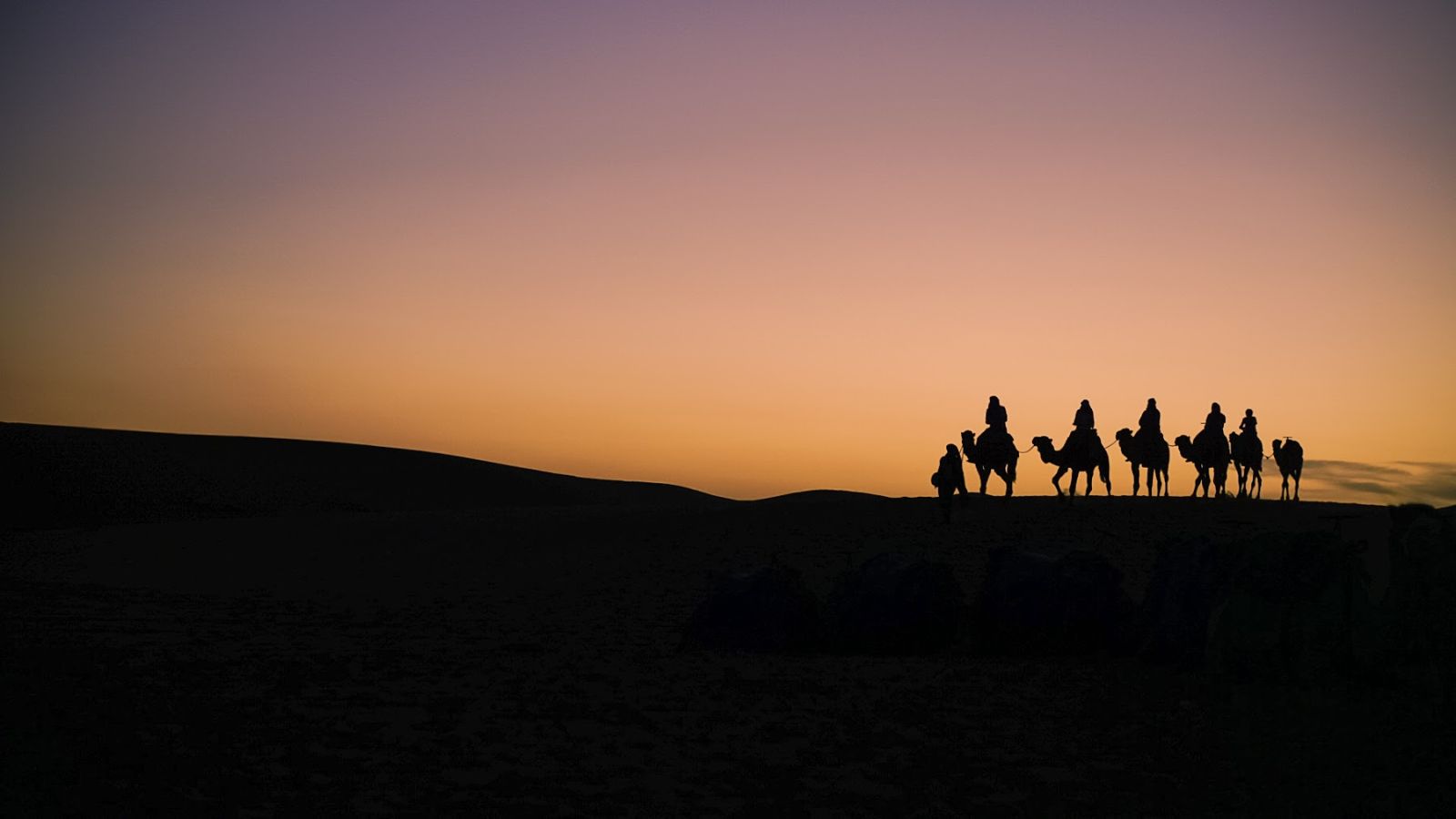 Una caravana de camellos en silueta al atardecer en el Sáhara