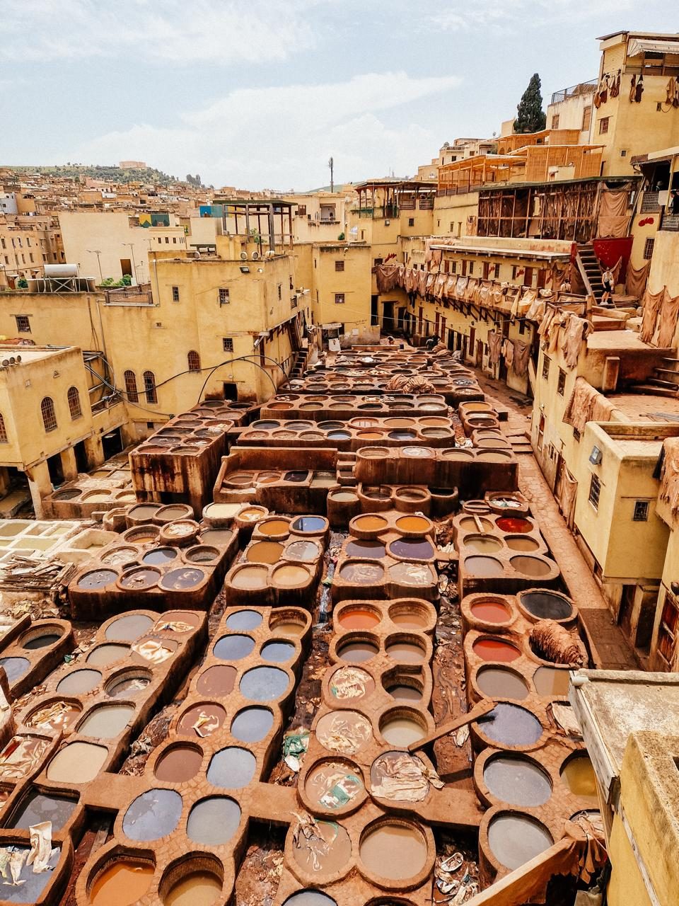Tours starting in Fes