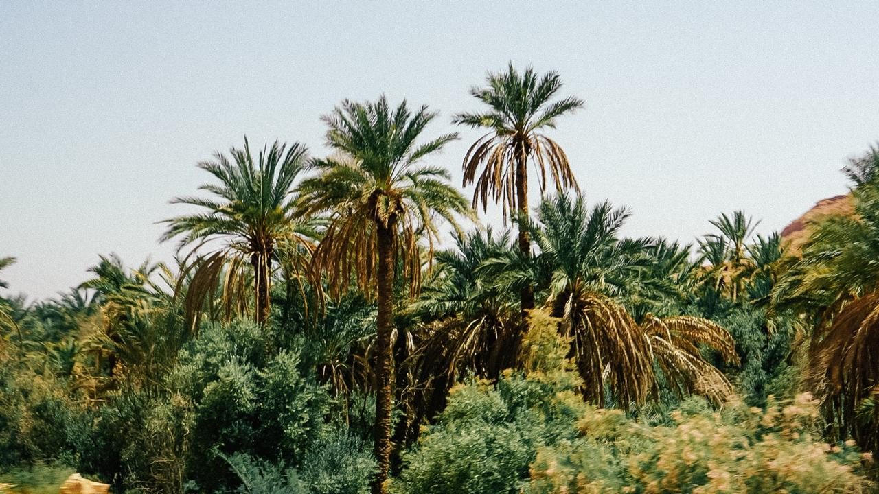 7-Day Fes to Marrakech Tour: Imperial Cities & Sahara Desert