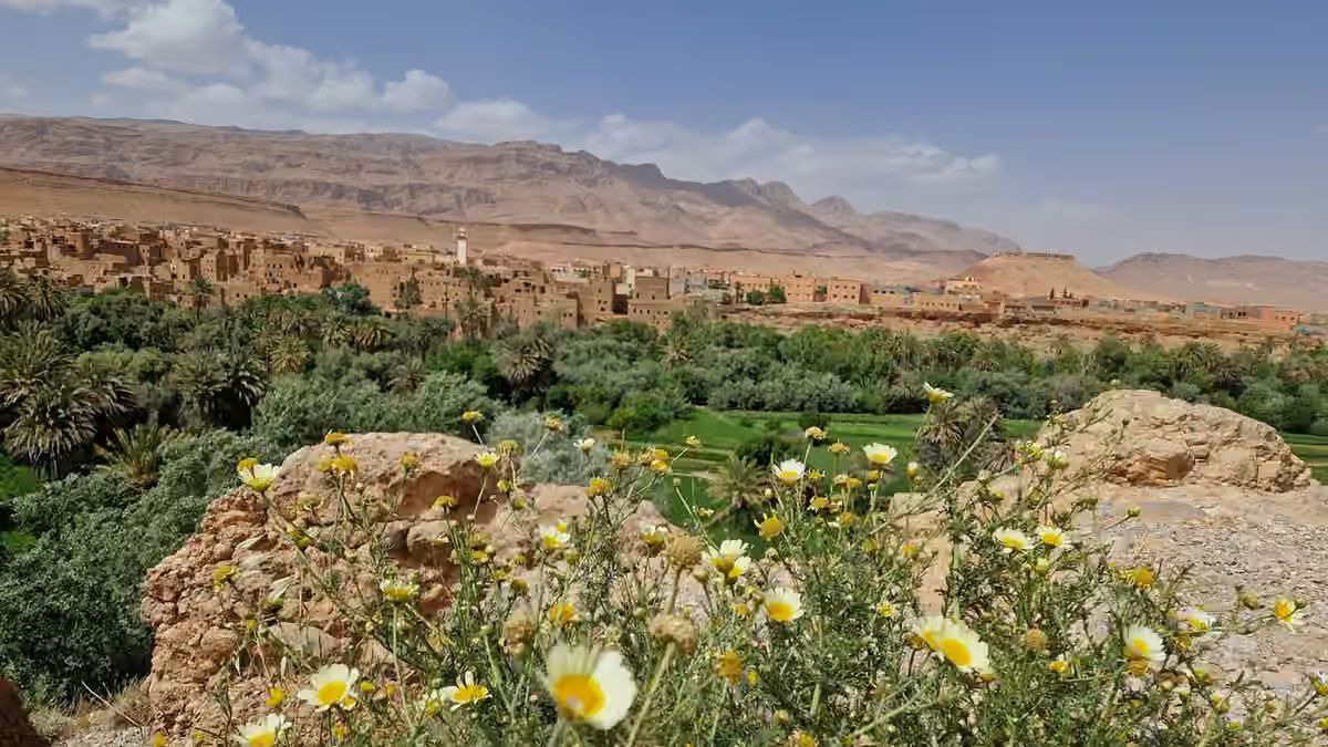 Tour por el desierto de Errachidia a Marrakech vía Merzouga