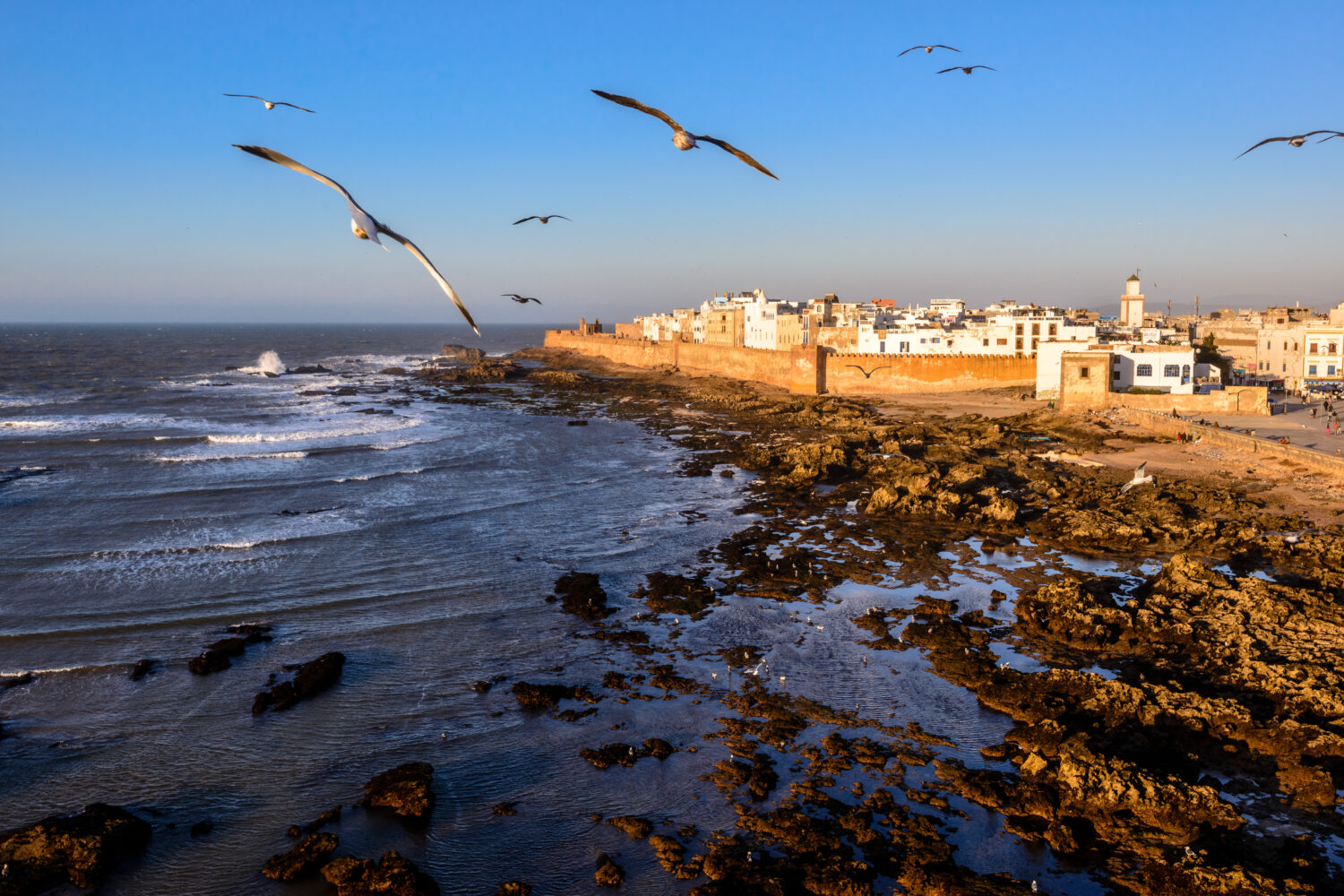 Morocco 8-Day Tour from Casablanca