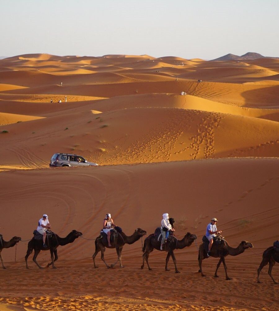 Camel trekking in Merzouga Sahara Desert during 4-day Morocco tour