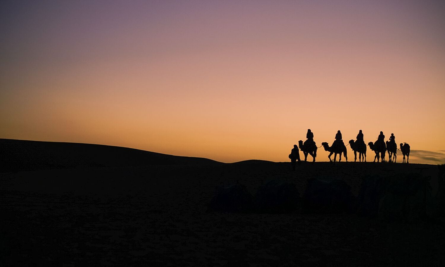 Camel trekking during a 5-day desert tour from Marrakech to Merzouga